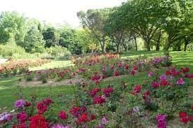 Parc floral de la Roseraie