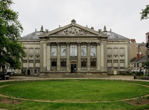 Muséum d'Histoire Naturelle de Nantes