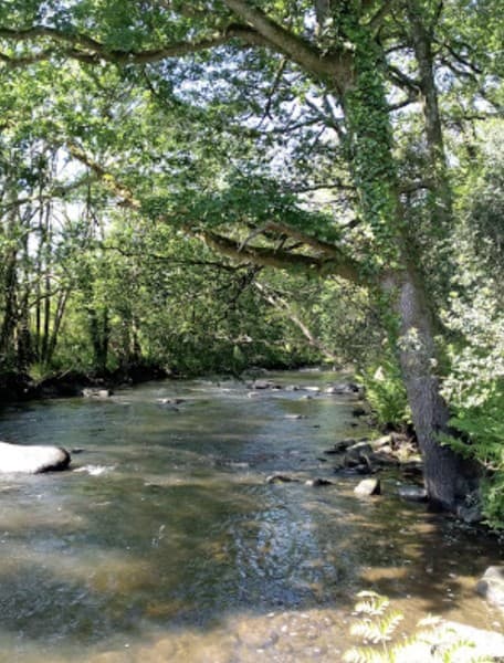 Les Gorges du Stangala
