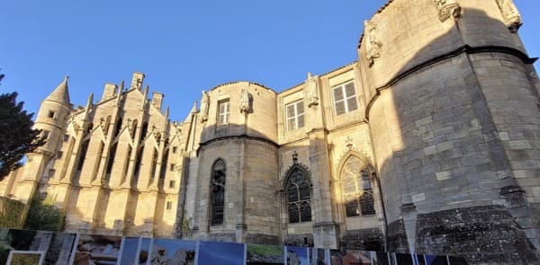 Le Palais