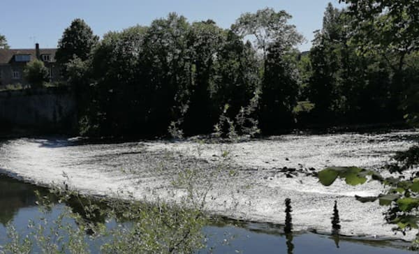 Parc Micaud
